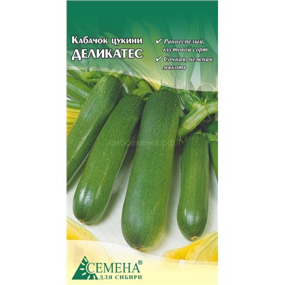Кабачок цукини Деликатес, 1г (цв.)