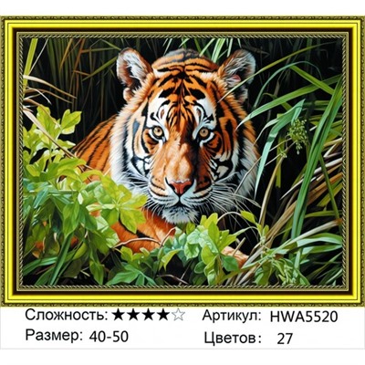 AM45 HWA5520, 40х50 см