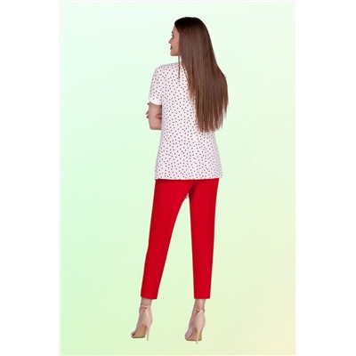 Vitol Fashion В-2517, Брюки,  Блуза