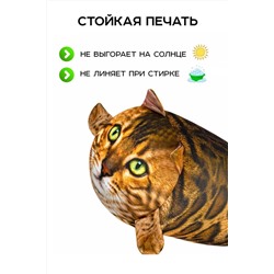 Игрушка-антистресс Кот Рыжик