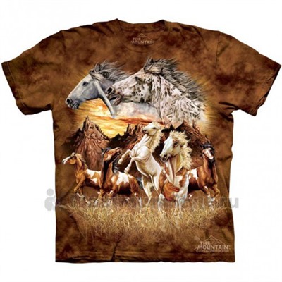 Футболка The Mountain "Find 10 Horses" (детская)