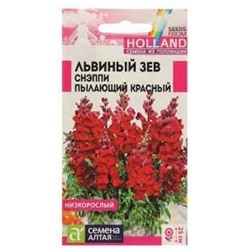 Цв.Львиный зев Снэппи Пылающий красный (Сем.Алтая) 10шт