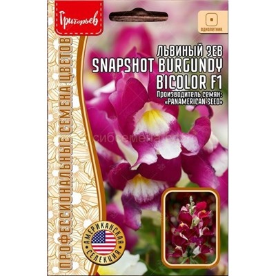 Львиный зев Снэпшот Бургунди биколор - Snapshot Burgundy Bicolor (Редкие)
