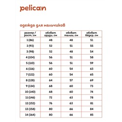 BFT3354/4 (Футболка для мальчика, Pelican Outlet )