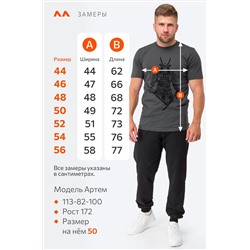 Мужская футболка Happyfox