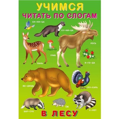 Учимся читать по слогам. В лесу 16 цветн.стр. 23,5*16см 29029