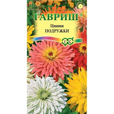 Цинния Подружки низкорослая кактусовидн смесь (Гав