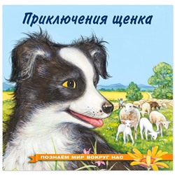 Кн. Познаем мир вокруг нас. Приключение щенка 16 цветн.стр. 21*21см 25748