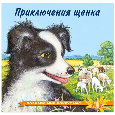 Кн. Познаем мир вокруг нас. Приключение щенка 16 цветн.стр. 21*21см 25748
