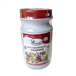 CHYAWANPRASH, Karmeshu (ЧАВАНПРАШ - иммунитет и сила, Кармешу), 500 г.