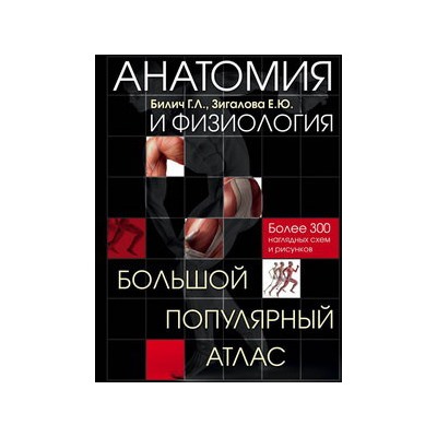 Анатомия и физиология. Большой популярный атлас