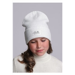 Шапка CLEVER #1040731