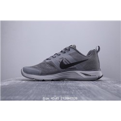 Nike Pegasus +30x
