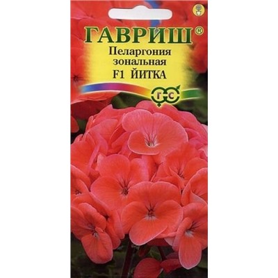 Цв.Пеларгония Йитка F1(Гавриш) 4шт