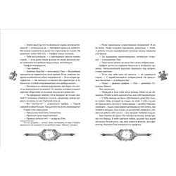 Техноведьма. Мастер дверей