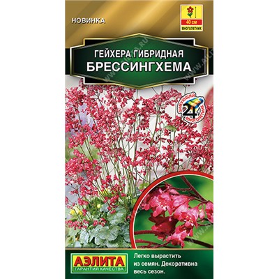 Гейхера Брессингхема Аэлита