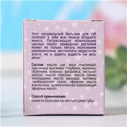 Бальзам для губ Macarons, ягоды, 14 мл