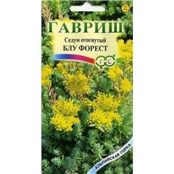 Цв.Очиток (Седум) Блу Форест  (Гавриш) 0,01г