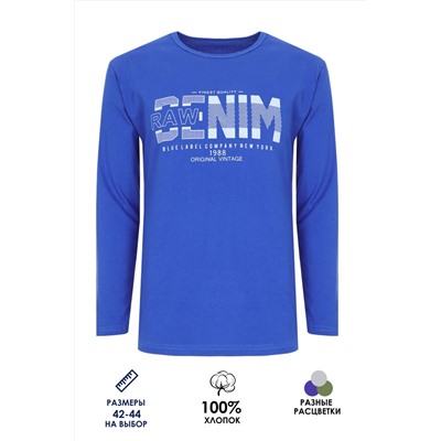 Футболка подростковая с длинным рукавом ФН171-1 Denim
