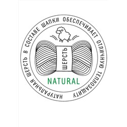 81790 CLEVER Шапка