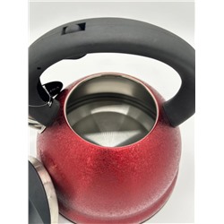 Чайник  3 л VICALINA