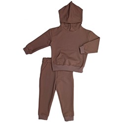 Спортивный костюм 0315/15 коричневый, 2х нитка
