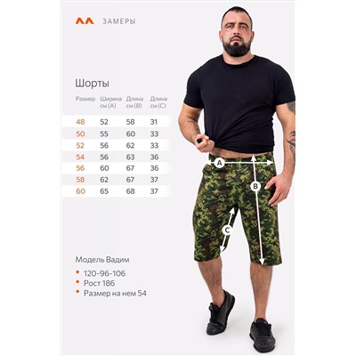 Мужские шорты из футера двухнитки Happyfox