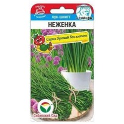 Лук Шнитт Неженка (Сиб.сад) 0,5г