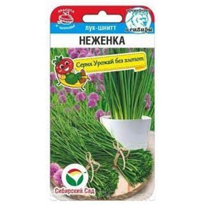 Лук Шнитт Неженка (Сиб.сад) 0,5г
