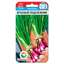 Лук батун Красный подснежник (Сиб сад)