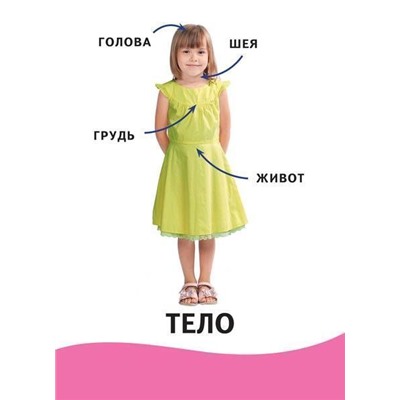 Уценка. Умные карточки. Я и мое тело. 32 карточки