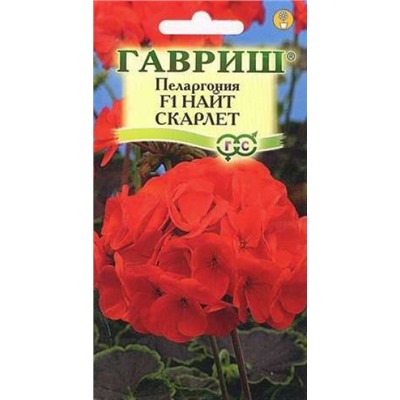 Цв.Пеларгония Найт Скарлет F1 (Гавриш) 4шт