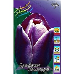 Тюльпан Арабиан Мистери 10шт (ИС)