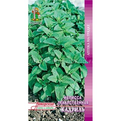 Мелисса Кадриль (Поиск) аптека 0,5гр