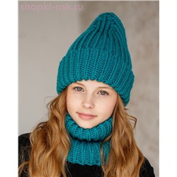 Q 193 D 193 Комплект флис (колпак+снуд) (52-54)