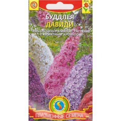 Буддлея Давиди  (Код: 75124)