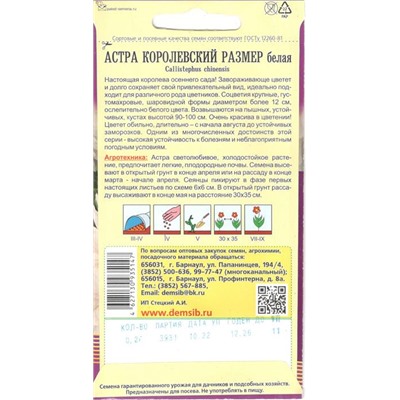 Цветы Астра Королевский размер Белая (0,2г) Дем Сиб (мин.10шт.)
