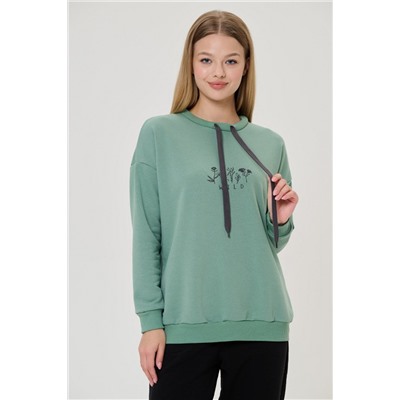 толстовка 3469-20