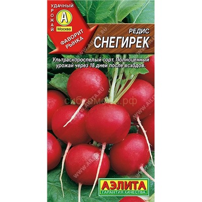 Редис Снегирек (Аэлита)