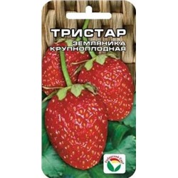 Клубника Тристар (Сиб.Сад) 10шт