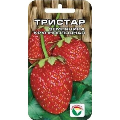 Клубника Тристар (Сиб.Сад) 10шт