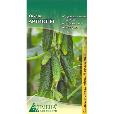Огурец Артист F1, 5сем (цв.) Бейо