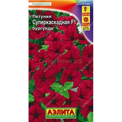 Петуния суперкаскадная бургунди  F1 (Аэлита)