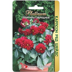 Георгина Карлсон Ред Шейдс (Биотехника)