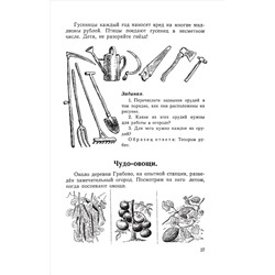 Родная речь. Книга для чтения во 2 классе начальной школы. Соловьёва Е.Е., Щепетова Н.Н., Карпинская Л.А. 1954