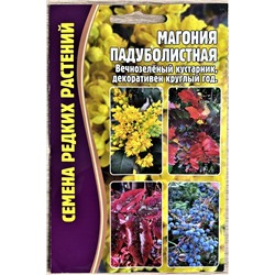 Магония Падуболистная (Редкие)