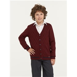 Жакет для мальчиков 183-7094