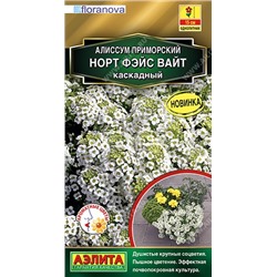 Алиссум Норт фэйс вайт каскадный (Аэлита)