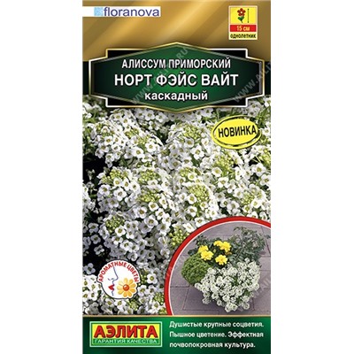 Алиссум Норт фэйс вайт каскадный (Аэлита)