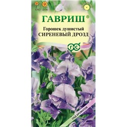 Душистый горошек Сиреневый дрозд (Гавр)